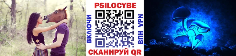 Псилоцибиновые грибы Psilocybine cubensis  Белая Холуница 